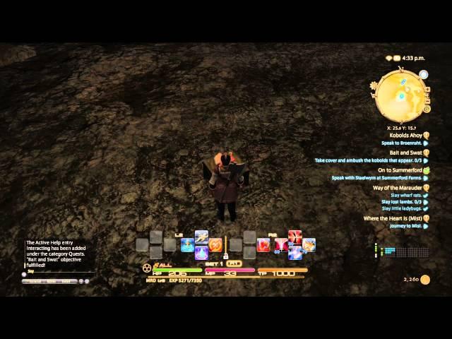 FFXIV Combat example - Marauder