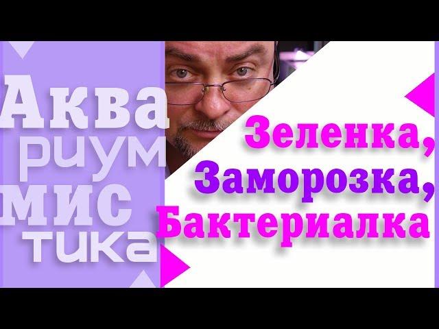 #Аквариумистика. Основные понятия. Зелёнка, заморозка, бактериалка. #shorts