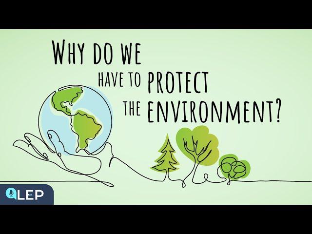 Why Should We Protect The Environment? | ️ 8 Minute English | Beginner