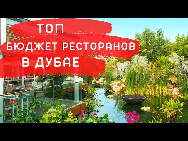 ДУБАЙ | Где вкусно и красиво поесть не за все деньги мира! ТОП Лучших Бюджетных Ресторанов в ДУБАЕ!