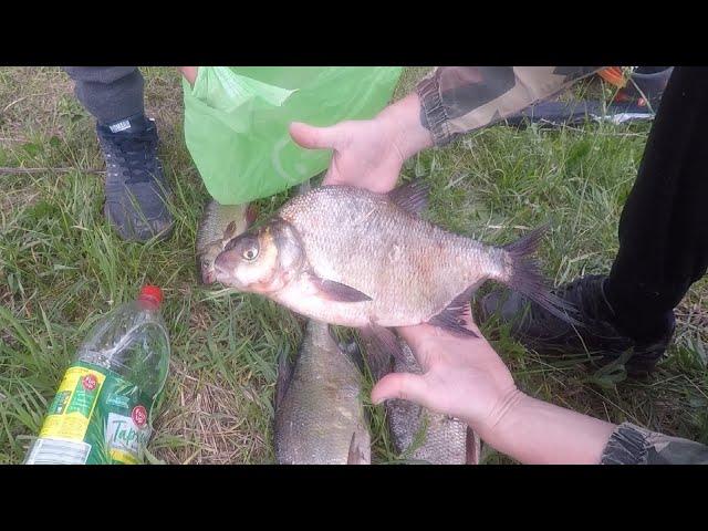 Fishing on the Ufa River - Feeder fishing against crocodiles - Huge bream bend fishing rods