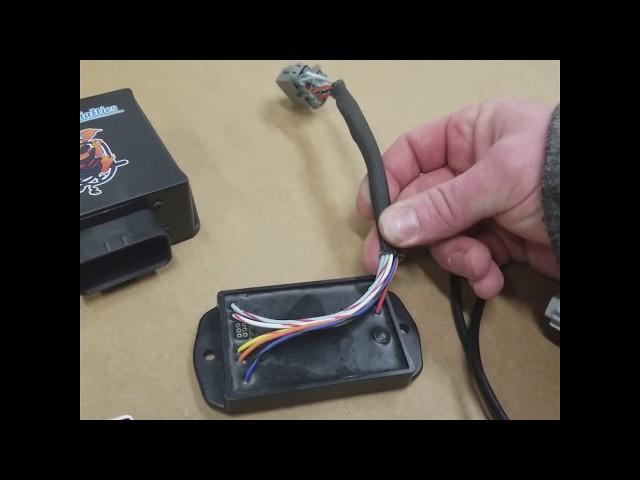 AEM Infinty 6 ECU wired direct to LSx Harness by Wiring Specialties