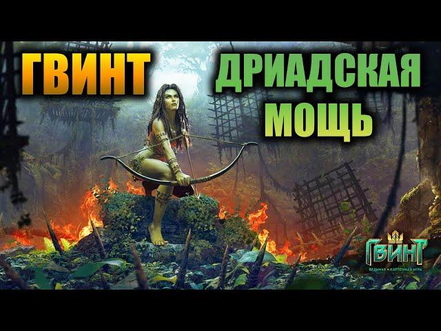 ДРИАДСКАЯ МОЩЬ ● ДРИАДЫ СКОЯТАЭЛИ ● ГВИНТ ● GWENT