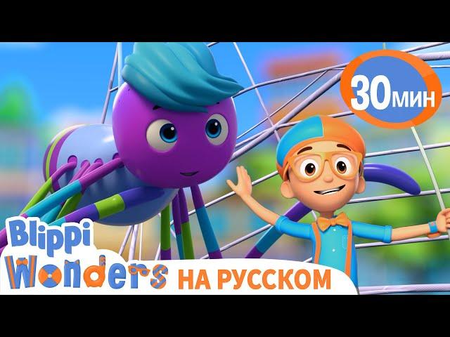 Пауки и Паутина | Обучающие мультики для детей | Blippi Russian