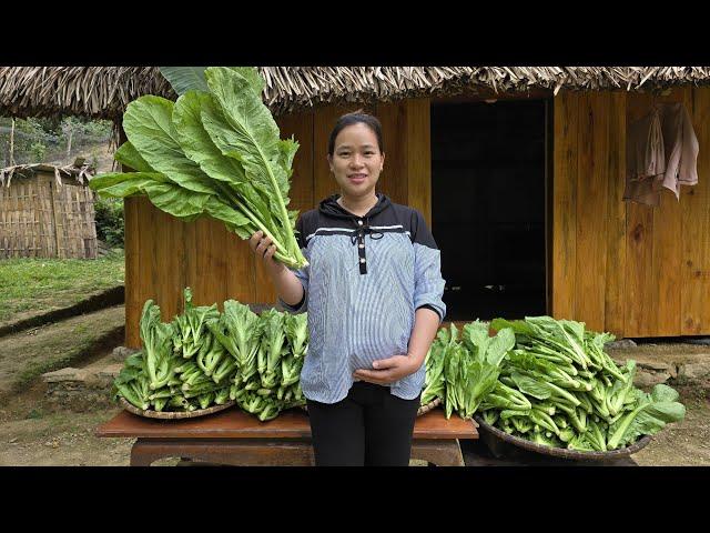 How To Make & Preserve Pickles From Green Vegetables On The Farm - Ly Thi Ca