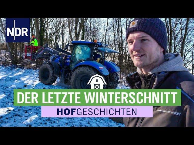 Winter adé: viel Arbeit mit Baumarbeiten & neuen Kälbern  | Hofgeschichten: Leben auf dem Land (322)