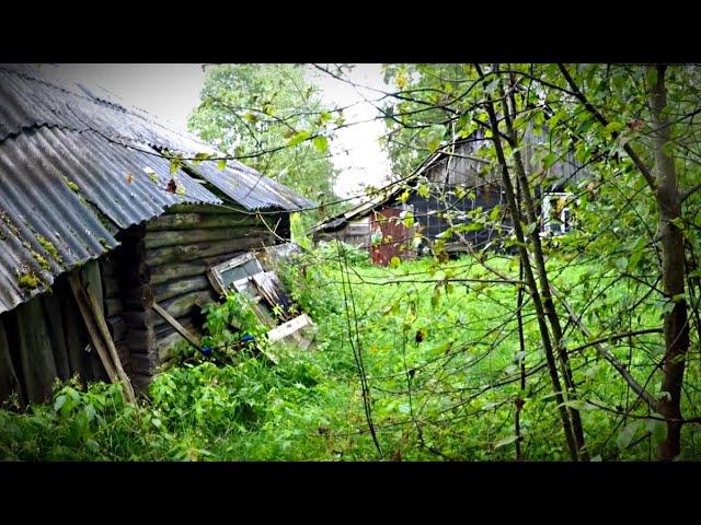 Нашел заброшенный ДОМ-СКЛАД в лесу. МНОГО всего - Покинутый Мир