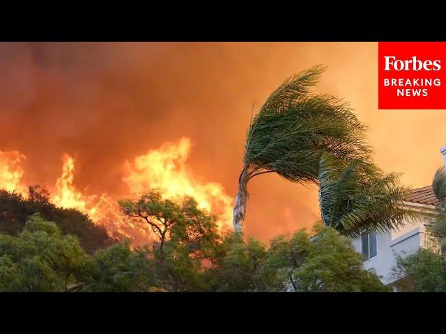 JUST IN: New Videos Show Rage Of Wildfires In Pacific Palisades, California