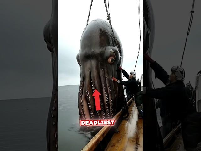 Top 5 Sea Creatures That Could End Us All! #shorts