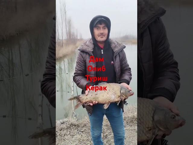 Балик ови