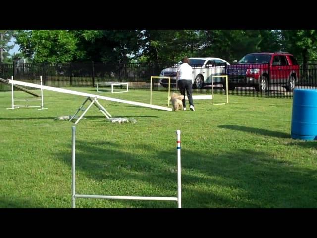 Breeze running agility