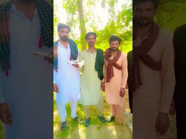 Ustad Asif Ali pigeons enjoy karen #vlogs
