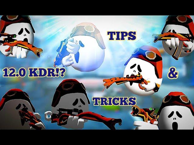 PRO Tips & Tricks for Good KDR and Getting Better in Shell Shockers! Thanks for 450 subs!️