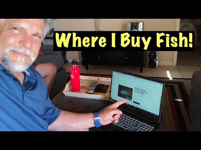 Where I Buy Fish *Highly Recommended Fish Vendors* - (You Can TRUST These!)