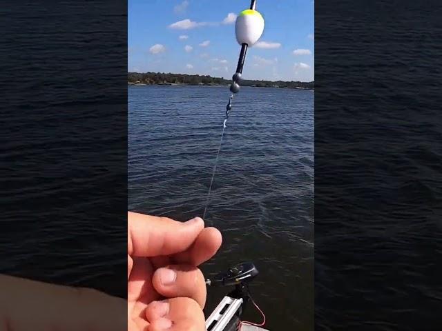 Crappie Fishing Setup #shorts