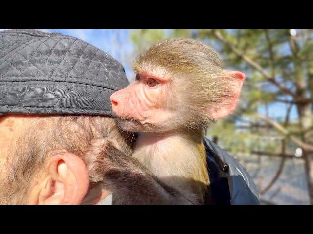 Мы с Люськой вышли погулять и увидели НОВОРОЖДЕННОГО ГАМАДРИЛЕНКА