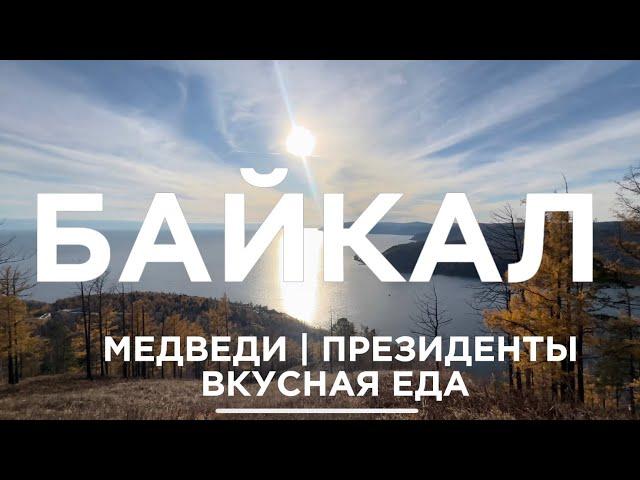 БАЙКАЛ | МЕДВЕДИ | ПРЕЗИДЕНТЫ что их связывает? #байкал #листвянка #медведи #президентсша