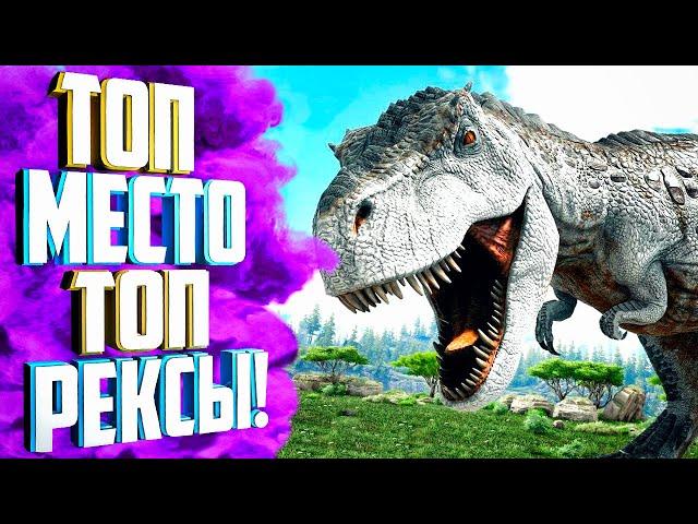 ТОП Место для поиска ТОП РЕКСОВ! Тираннозавр Рекс (Tyrannosaurus Rex) в АРК.