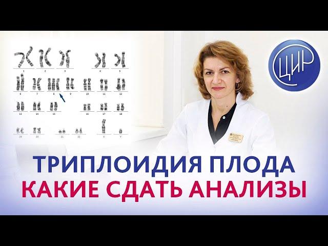 Замершая беременность и триплоидия. Какие анализы сдать после замершей по причине триплоидии плода?
