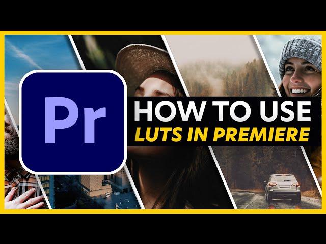 How to Use LUTs in Adobe Premiere Pro 2024