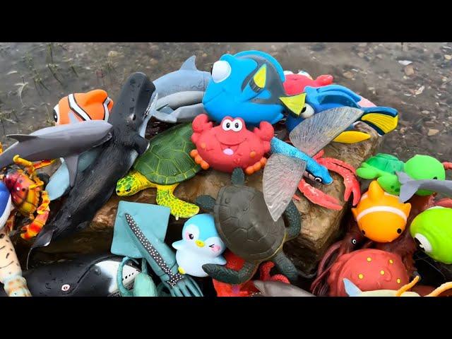 Sea Animal Toys at the River Shore