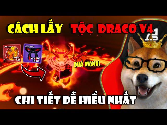 Cách Thức Tỉnh Tộc Rồng DRACO V4 Nhanh Nhất Trong Blox Fruits UPDATE DRAGON | Roblox