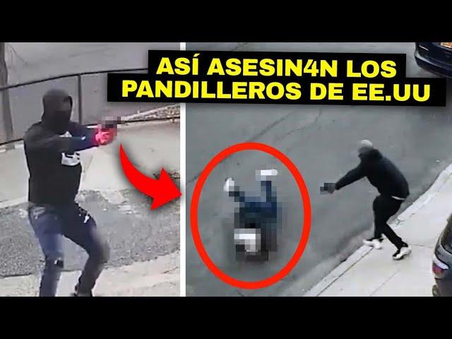 Así MAT4N las PANDlLLAS más PELIGR0SAS de EE.UU (Captado en cámara)