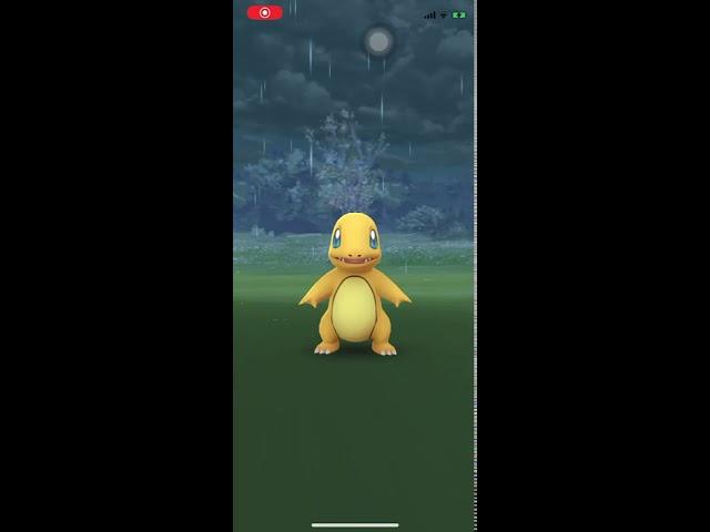 Shiny Pokemon,Charmander,Pokémon GO - October 17,2020