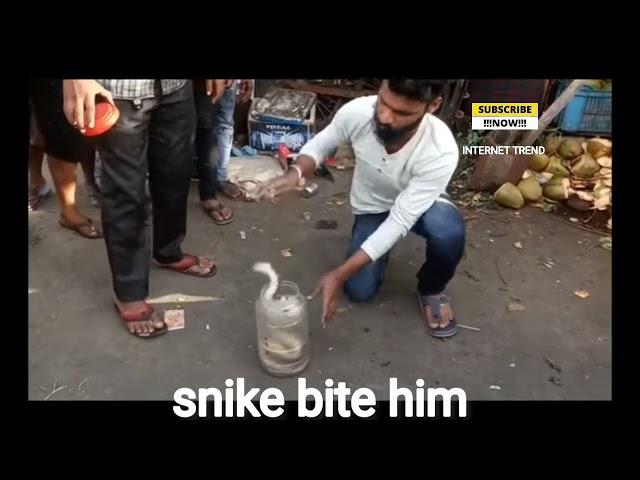 Russell viper bites a man in Maharashtra || Most venomous snake in india || #safetyfirst