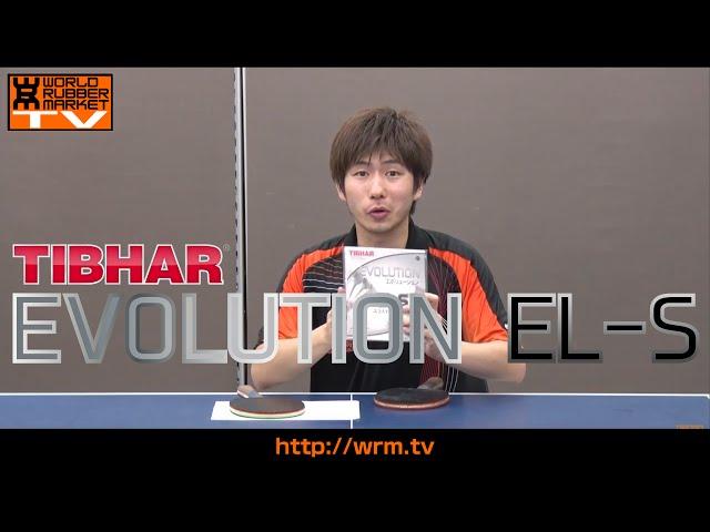 【エボリューションEL-S TIBHAR】TIBHAR裏ソフト最高傑作！11年ぶりの勝負ラバー【卓球知恵袋】