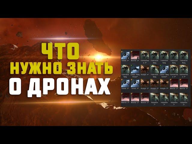 EVE Online. ГАЙД ПО ДРОНАМ ДЛЯ НОВИЧКОВ. Чем отличаются разные дроны и какие использовать?