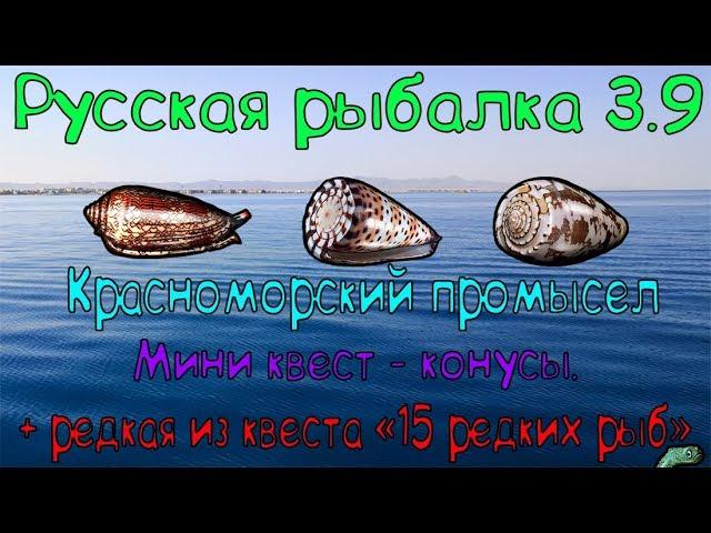 Русская рыбалка 3.9. Красноморский промысел. Конусы.