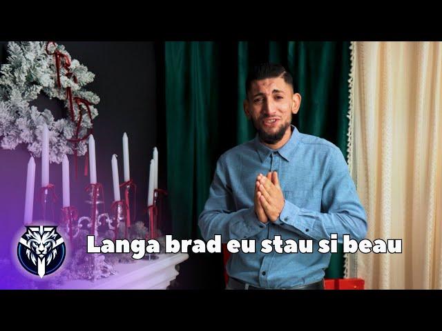 Abel Mocanu - Langa brad eu stau si beau (Videoclip Oficial) | Tanu Music