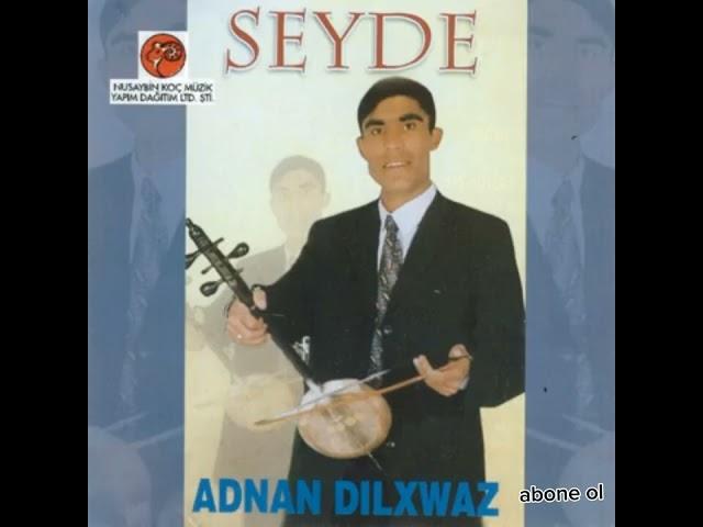 Adnan dilxwaz seve sevamine