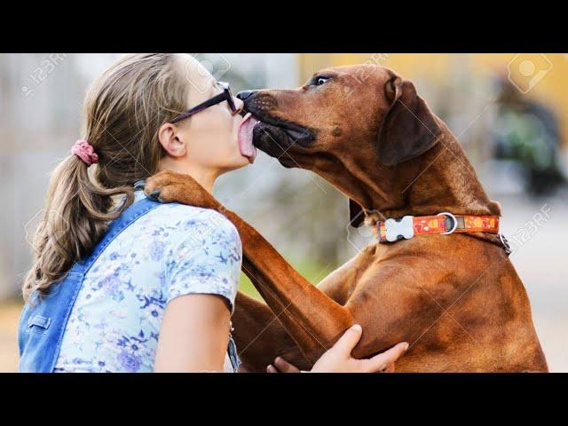 a dog kissing a lady