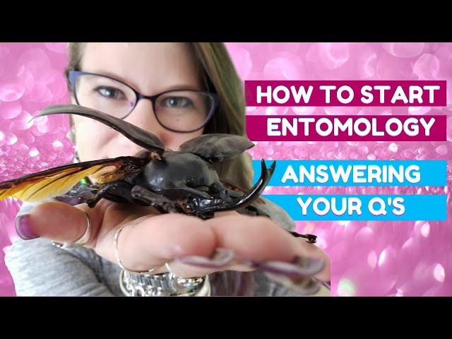 How To Become an Entomologist: Answering your Questions