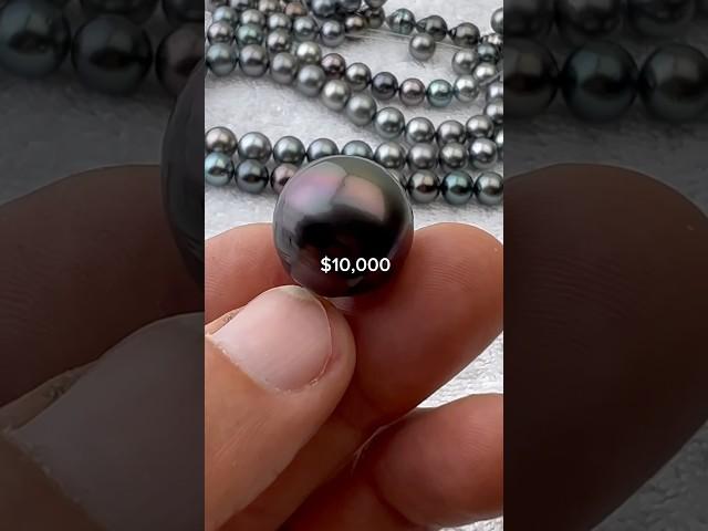 $1 pearl vs $10,000 pearl
