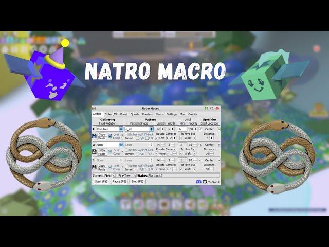 The ULTIMATE Natro Macro guide (BSS)