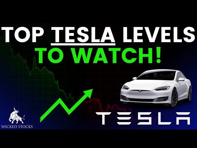 Tesla Stock Price Analysis | Top Levels To Watch for December 16th, 2024