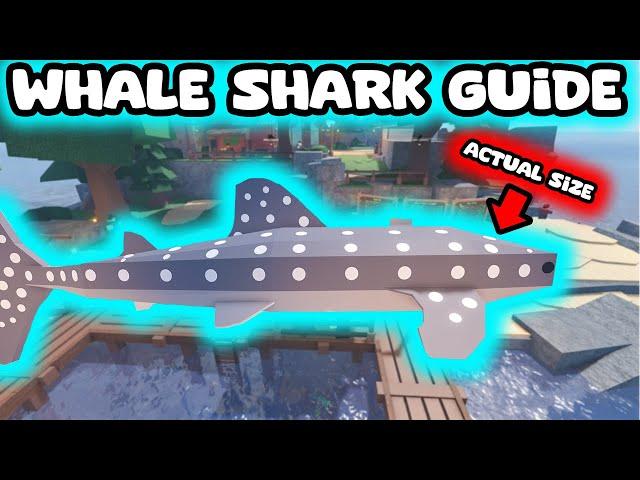 HOW TO CATCH THE WHALE SHARK GUIDE AND TIPS ROBLOX