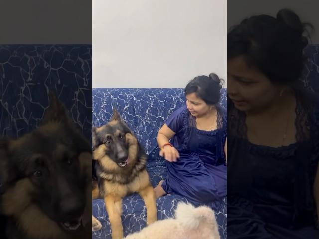 Caesar or mom ki behas #trending #youtubeshorts #pets #shorts #shortvideo #short  #ytshorts #pet