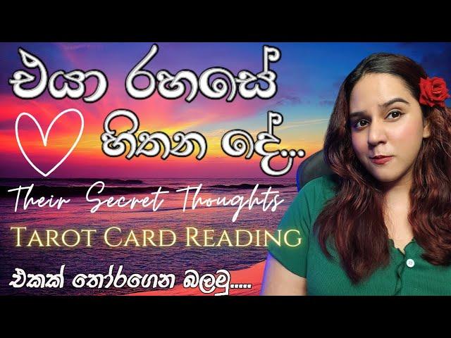 එයා රහසේ හිතන දේ දැනගමු! Their Hidden Thoughts Tarot card Reading Sinhala | Love Predictions