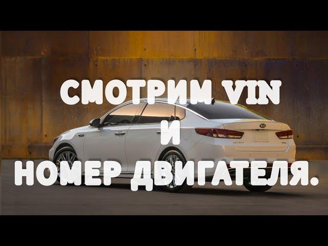 Kia Optima 2018 год.ГДЕ РАСПОЛОЖЕН VIN И НОМЕР ДВИГАТЕЛЯ.