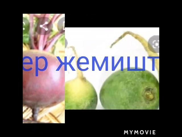 Кыргызстанда өсүүчү жер жемиштер