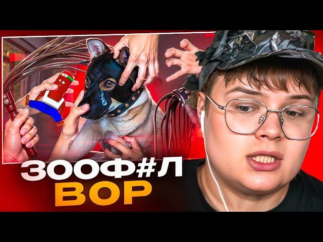 КАША СМОТРИТ - ЗООФИЛЬСКИЙ ВОР В ЗАКОНЕ - СУВОРОВ И КРАЖА СОБАКИ АРКАДИЯ 