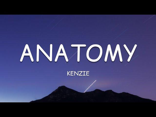 kenzie - anatomy (Lyrics)