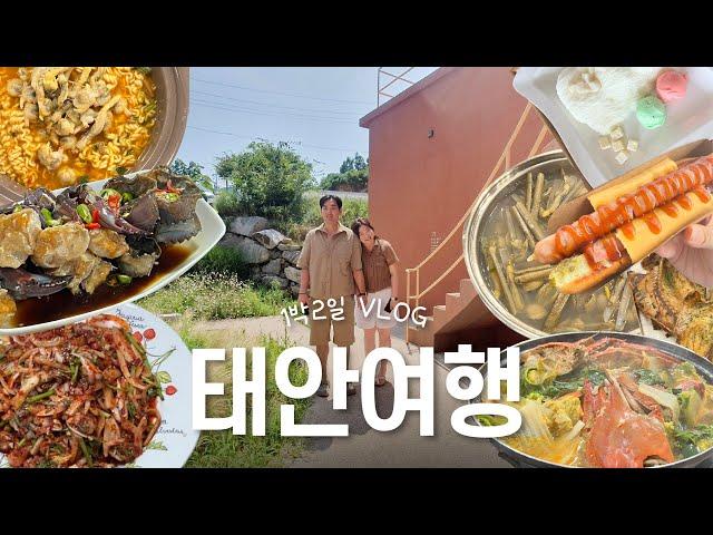 태안 여행 1박2일 여행코스 VLOGㅣ태안맛집ㅣ태안카페ㅣ갯벌체험ㅣ게국지ㅣ맛조개ㅣ사진스팟