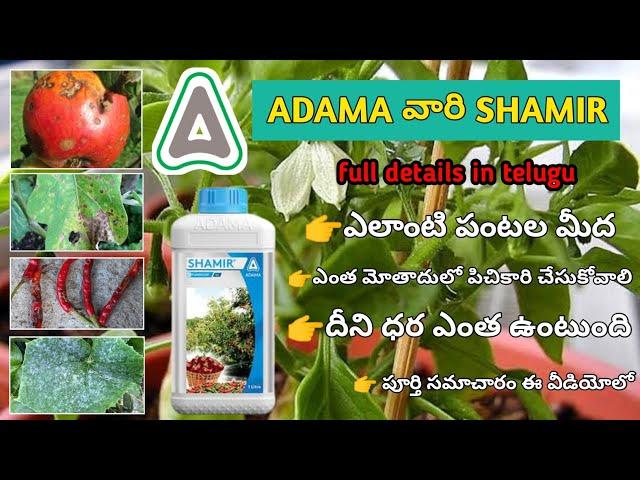 Shamir | Adama India Shamir Fungicide | Tebuconazole 8% + Captan 32% sc | adama shamir