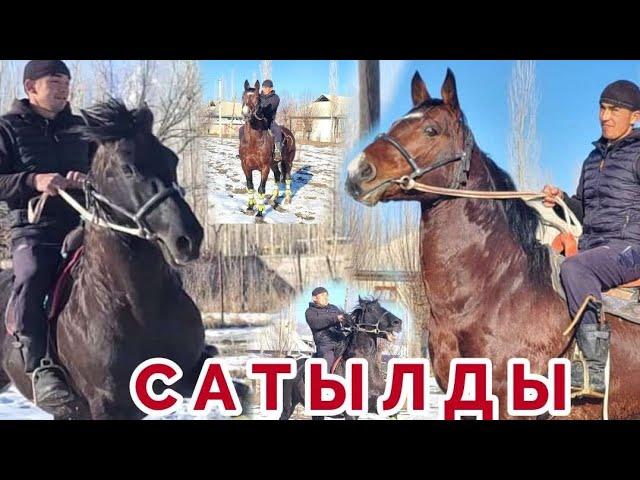 Аттар Сатылды️