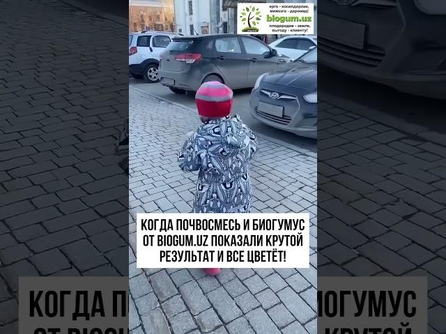 биогумус,почвосмесь,грунт, перепревший навоз, торф - ваши растения будут улыбаться! +99893 397 28 49